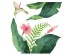 Tropical Flowers αυτοκόλλητα βινυλίου για τζάμι (64017)