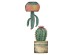 Cactus αυτοκόλλητα βινυλίου για τζάμι S (69001)