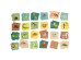 Petit Monkey - Memo game jungle animals