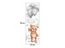 Sipo Wall sticker teddy bear with balloons