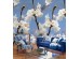 Ταπετσαρία BEHANG EXPRESSE COLORFUL INK7283-BEH