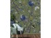 Ταπετσαρία BEHANG EXPRESSE FLORAL UTOPIA INK7570-BEH