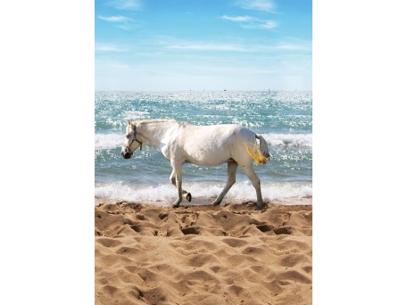 Ταπετσαρία BEHANG EXPRESSE KATE & ANTY INK7424-BEH