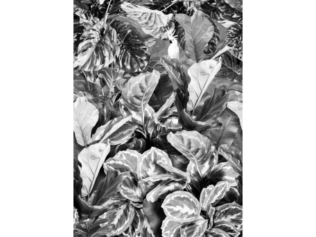 Ταπετσαρία BEHANG EXPRESSE LIGHT & DARK INK7345-BEH