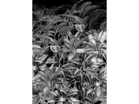 Ταπετσαρία BEHANG EXPRESSE LIGHT & DARK INK7347-BEH