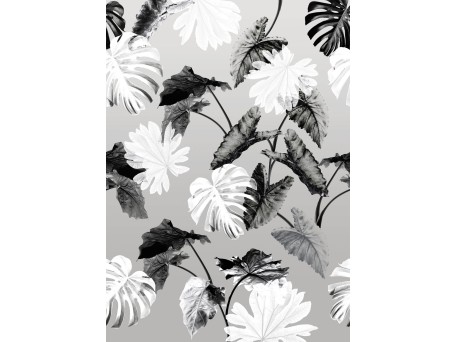 Ταπετσαρία BEHANG EXPRESSE LIGHT & DARK INK7352-BEH