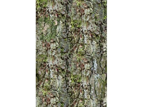 Ταπετσαρία BEHANG EXPRESSE NEW MATERIALS INK7074-BEH