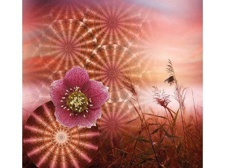 Ταπετσαρία BEHANG EXPRESSE SELECT.D CIRCLE OF LIFE TD4181-BEH