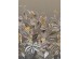 Ταπετσαρία BEHANG EXPRESSE TREASURES OF NATURE TD4269-BEH