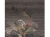 Ταπετσαρία BEHANG EXPRESSE TREASURES OF NATURE TD4275-BEH