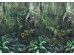 Ταπετσαρία BEHANG EXPRESSE TREASURES OF NATURE TD4287-BEH