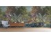 Ταπετσαρία BEHANG EXPRESSE TREASURES OF NATURE TD4264-BEH