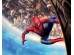 Φωτοταπετσαρία Spiderman 12
