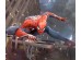 Φωτοταπετσαρία Spiderman 14