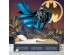 Φωτοταπετσαρία Batman 9