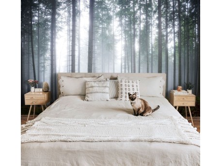 Φωτοταπετσαρία Misty Forest