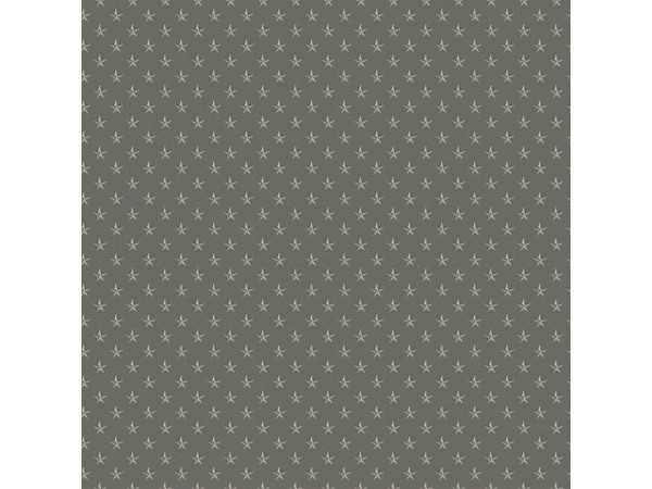 Ταπετσαρία Τοίχου Stars Dark Grey-Silver