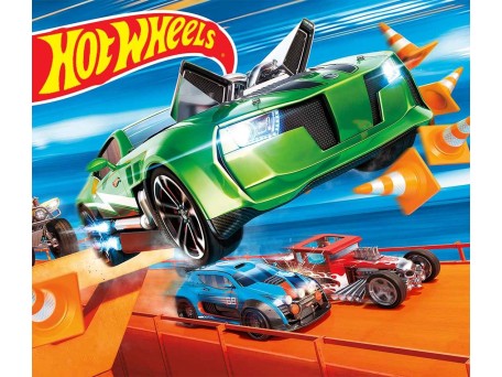 Φωτοταπετσαρία Hot Wheels3