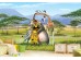 Φωτοταπετσαρία Madagascar 4